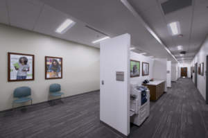 Screen Shot 2019 06 27 At 11.12.18 AM 1024x679