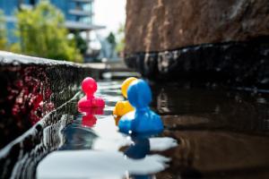 Duck Race Weigand Construction