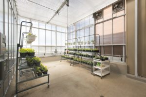 IWU Ott Hall Science Nursing 34 WEB