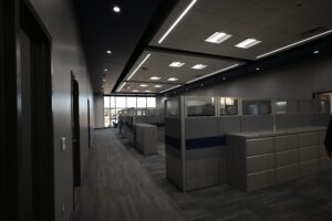 Cubicals
