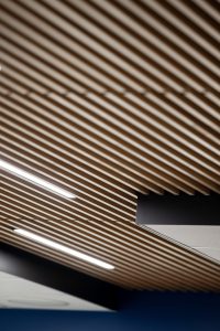 Ceiling 1